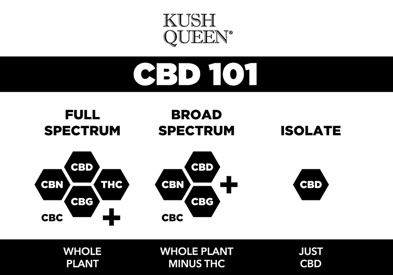 Full-Spectrum-infographic.jpg