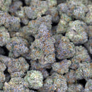 Kush Queen Hemp Flower White Runtz THCa Flower *Private Reserve*