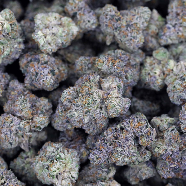 Kush Queen Hemp Flower White Runtz THCa Flower *Private Reserve*