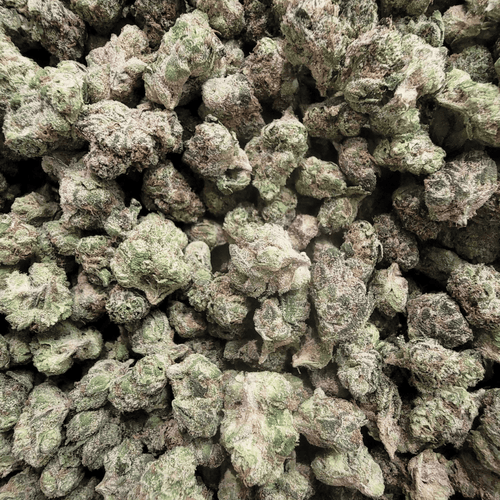Kush Queen Hemp Flower *Smalls* Lemon Cherry Gelato THCa Flower