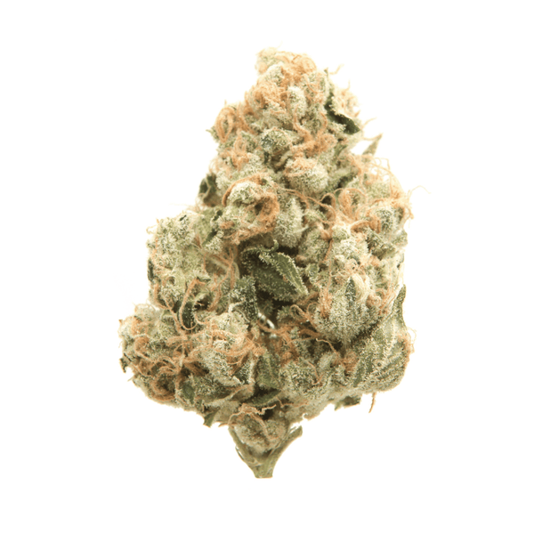 Kush Queen Hemp Flower *Top Shelf* JSD THCa Flower